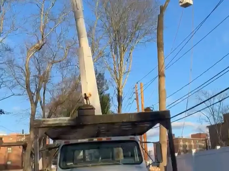 Bucket truck used for tree trimming in Cape Cod, MA