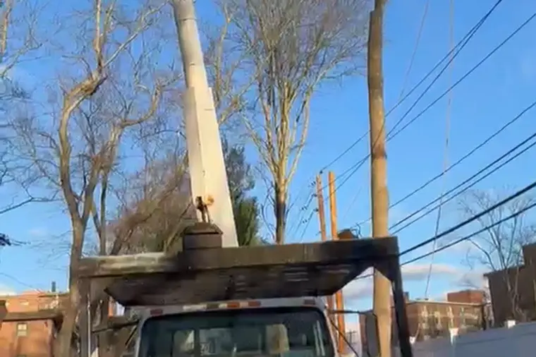 Bucket truck positioned for tree work near power lines