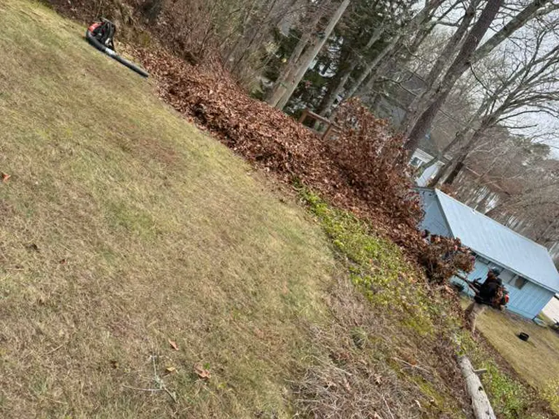 Seasonal leaf clean up service on a Cape Cod property
